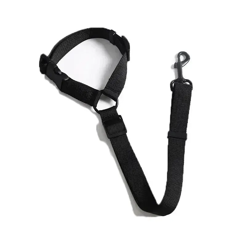 2-in-1 Pet Leash Car Seat Belt