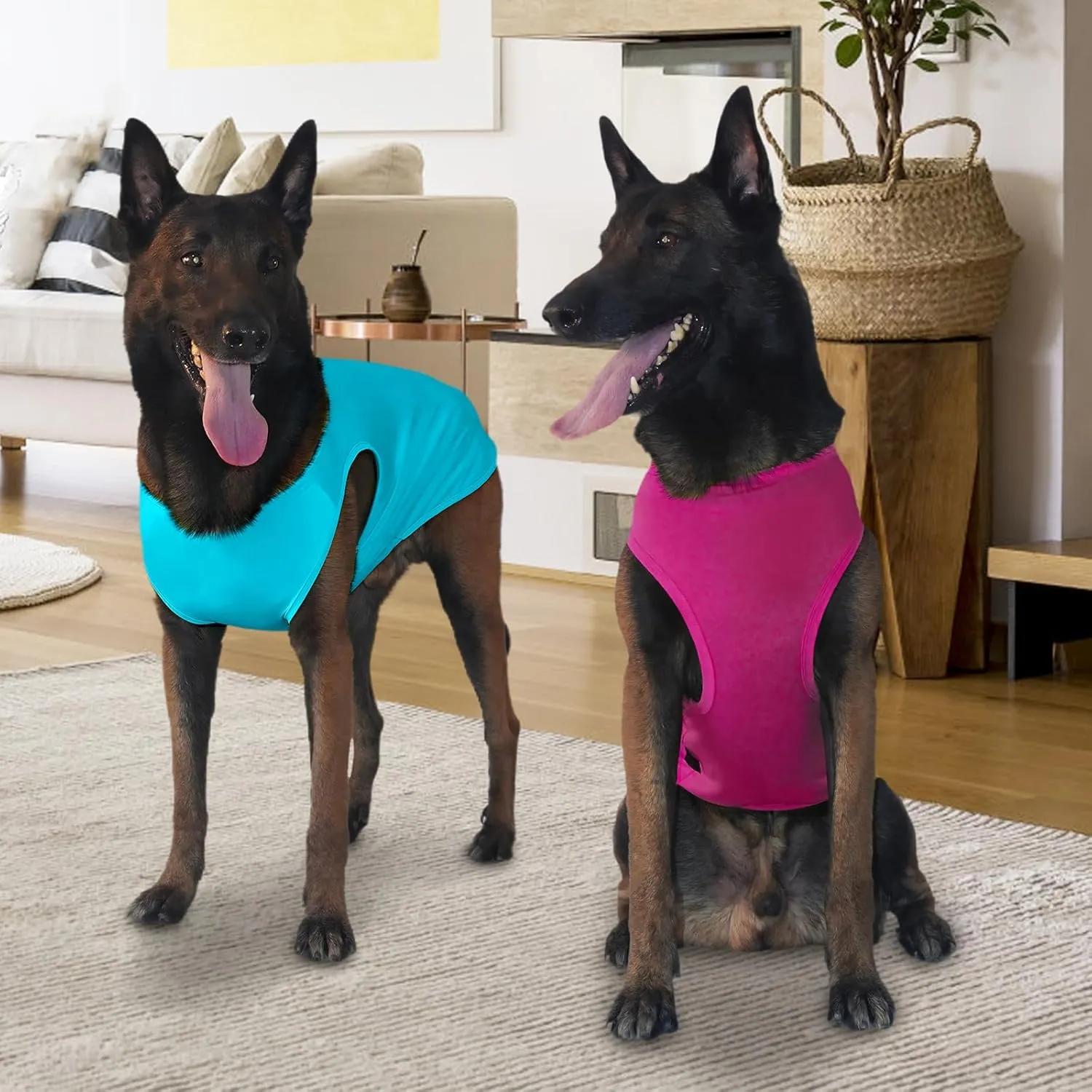 2-Piece Dog Shirt & Vest, Soft & Cool Clothes, Lightweight Stretchy Pet Vest, Summer Dog Sleeveless Clothes for Medium-Large Pets - Purple Blue (L)