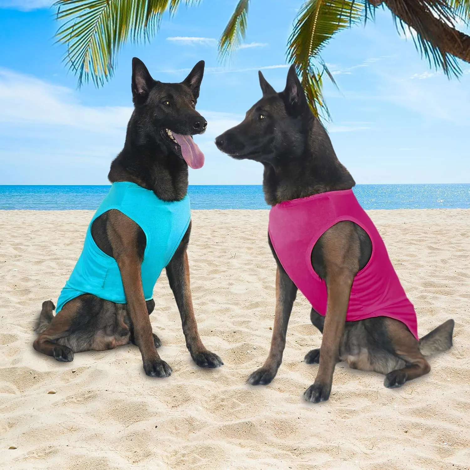 2-Piece Dog Shirt & Vest, Soft & Cool Clothes, Lightweight Stretchy Pet Vest, Summer Dog Sleeveless Clothes for Medium-Large Pets - Purple Blue (L)