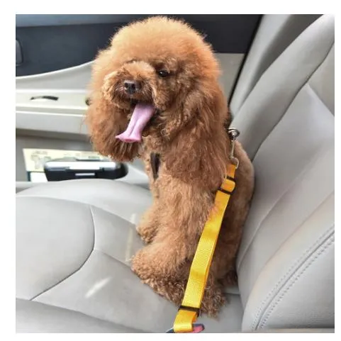 Adjustable Dog Car Safety Belt