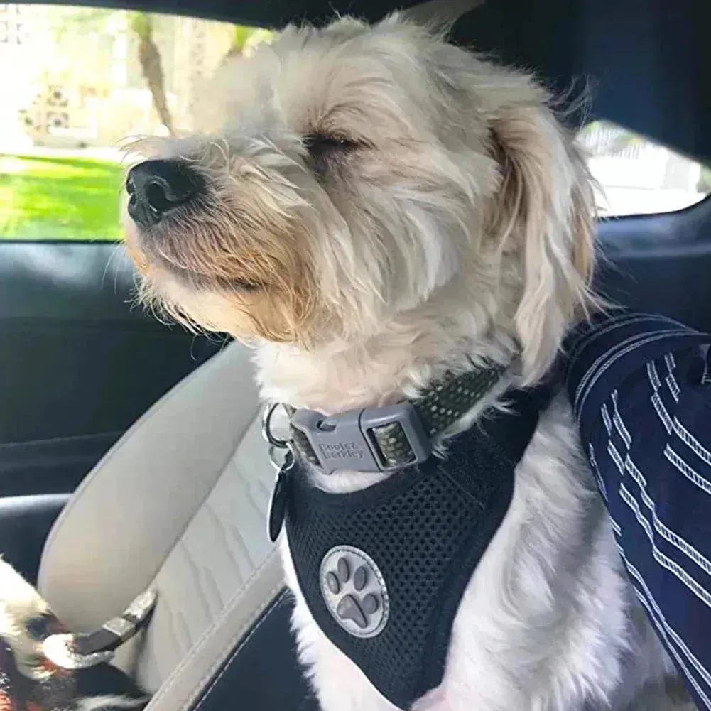 Adjustable Dog Seatbelt Harness with Breathable Mesh Vest