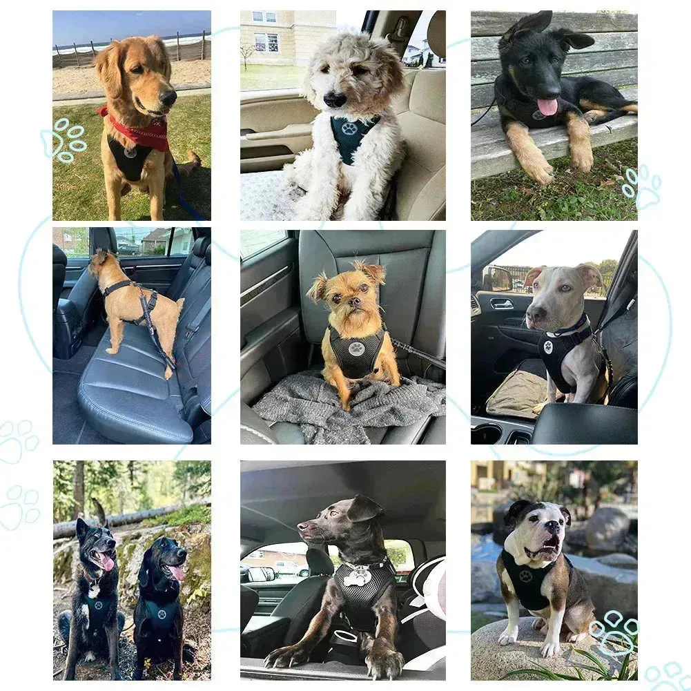 Adjustable Dog Seatbelt Harness with Breathable Mesh Vest