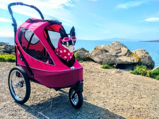 All Terrain Pet Jogger/Stroller/Bike Trailer - Blazin Berry, Shock Absorbing Bike Wheels, Adjustable Handlebar, Dual Brake, for Small/Medium/Large Dogs, Cats, Supports up to 77LBS
