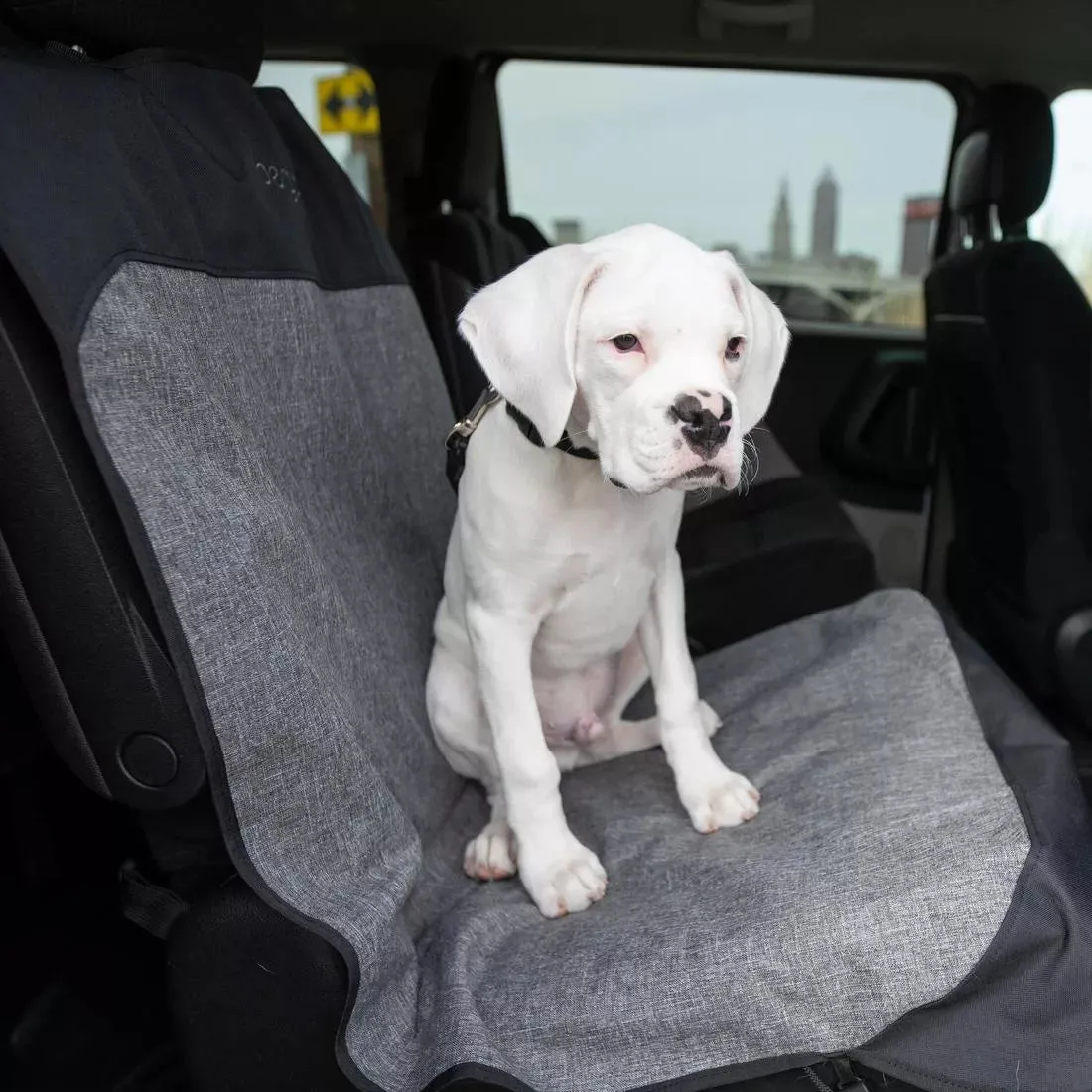 Bergan Auto Bucket Seat Protector