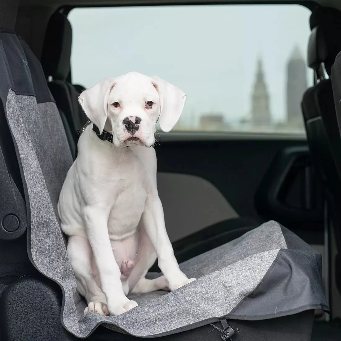 Bergan Auto Bucket Seat Protector