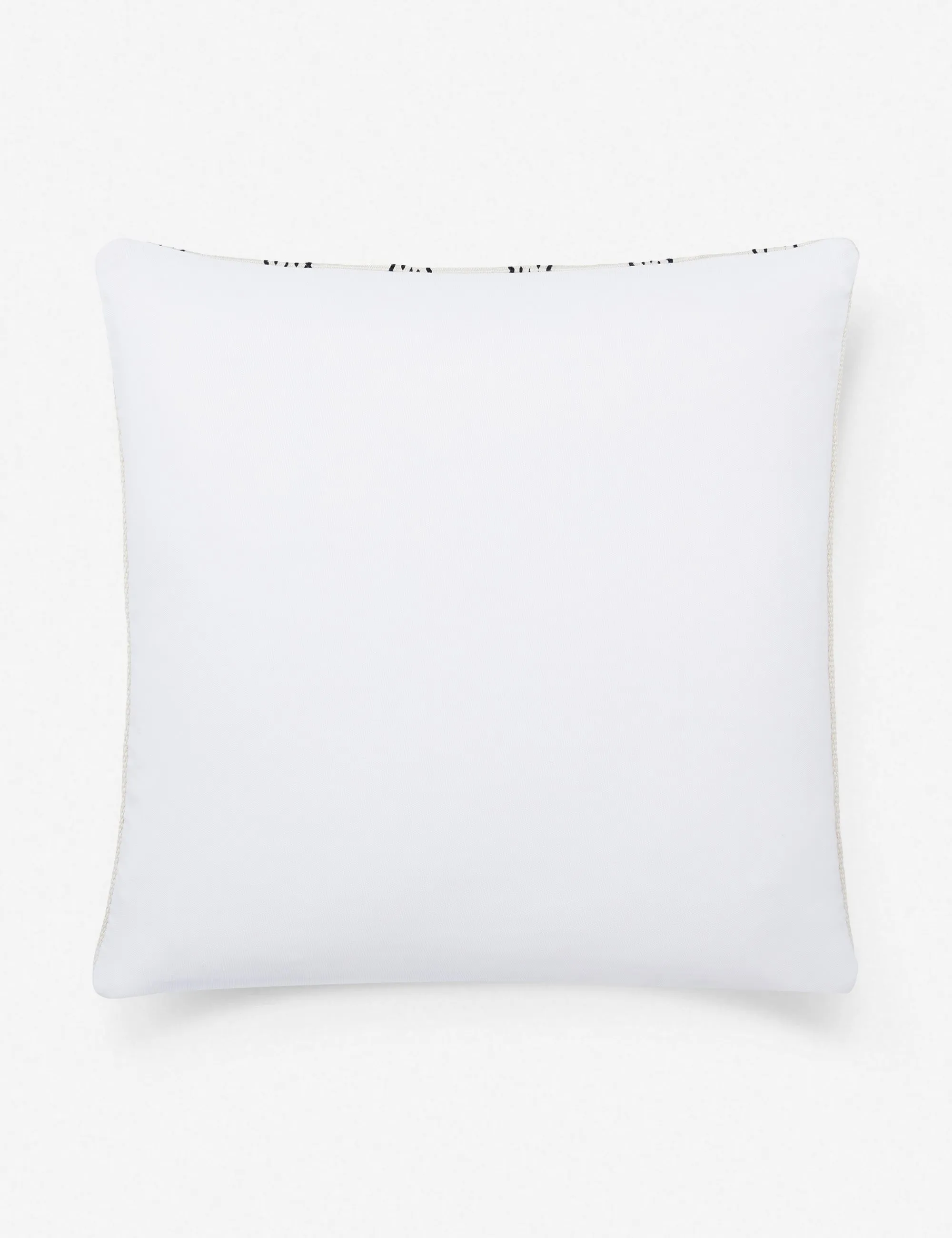 Blaise Indoor / Outdoor Pillow