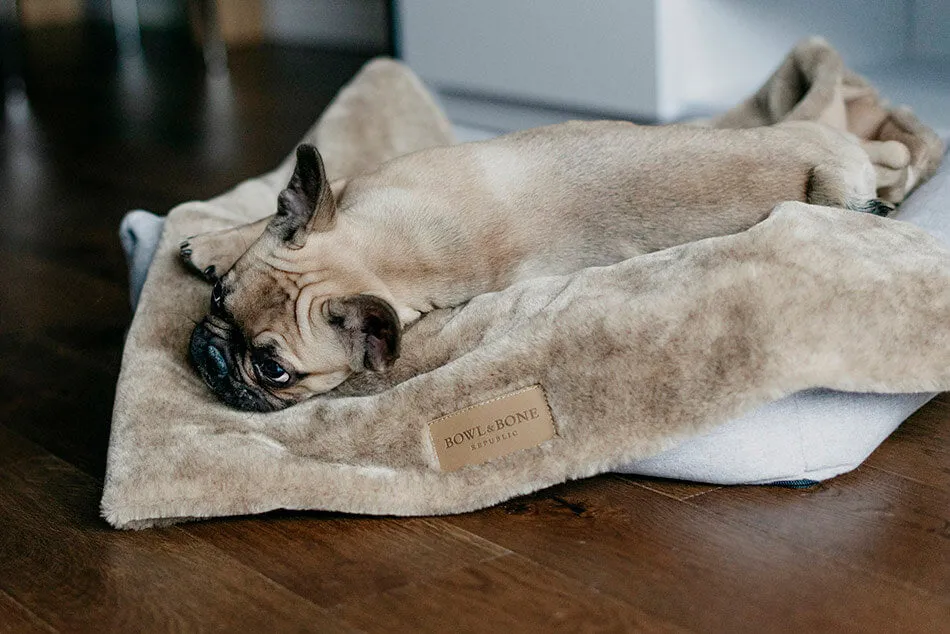 Bowl and Bone Nap Brown Fur Dog Blanket