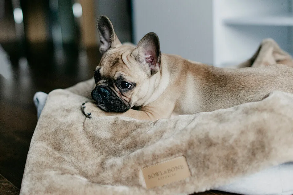 Bowl and Bone Nap Brown Fur Dog Blanket