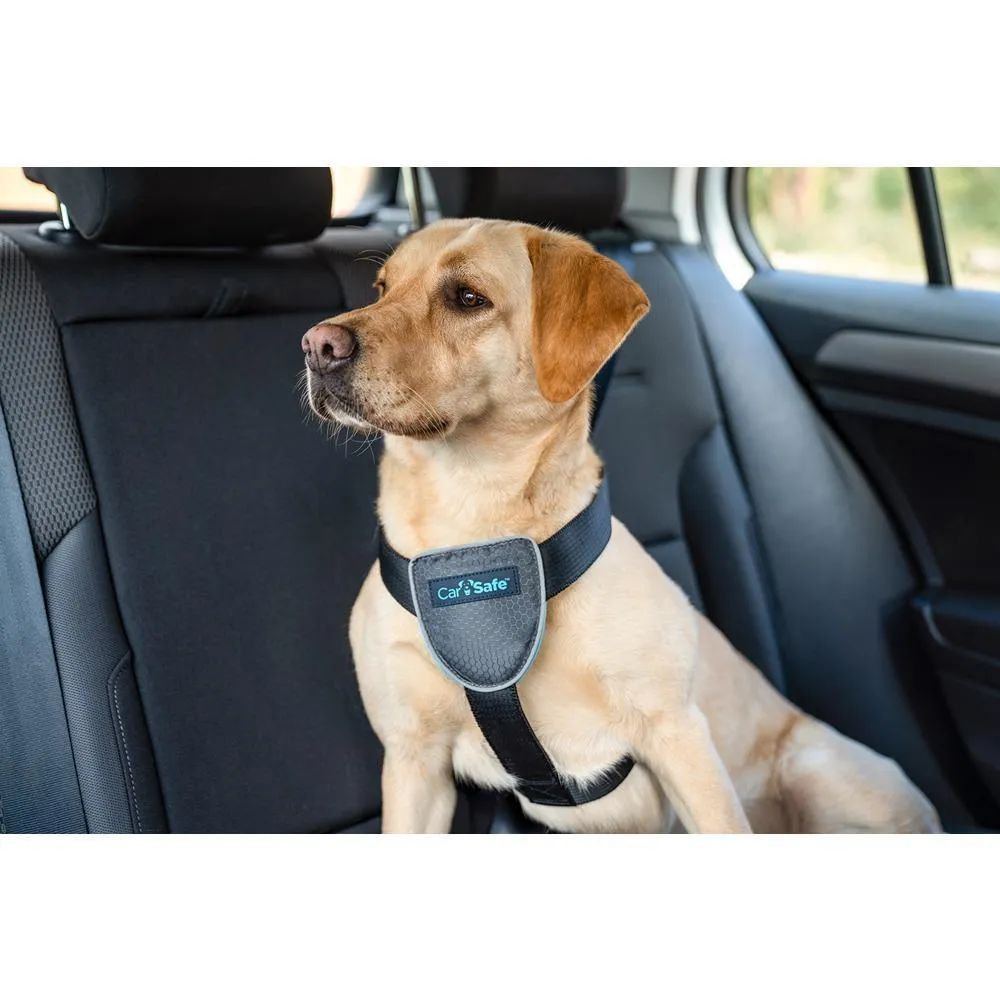 CarSafe Dog Travel Harness