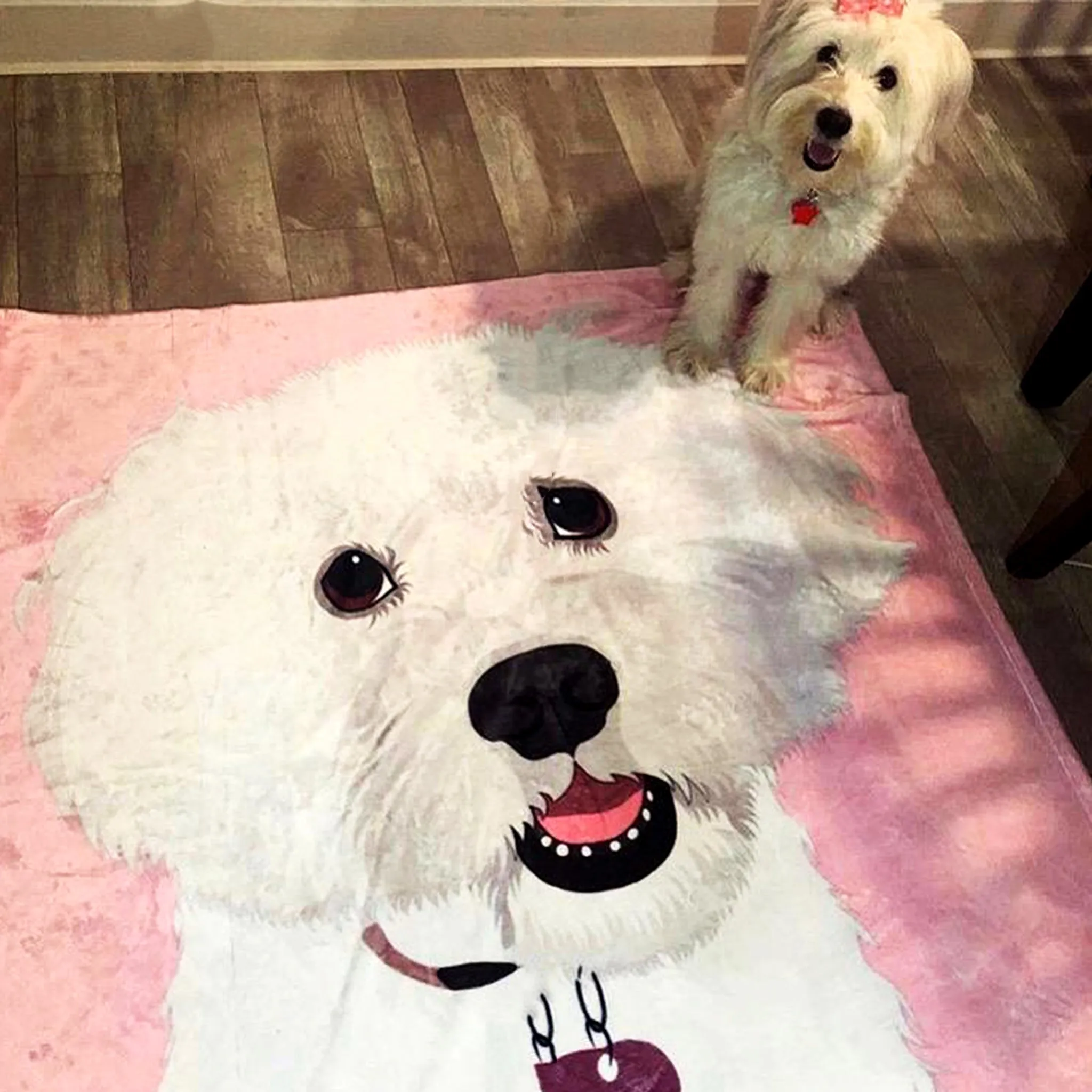 Custom Pet Fleece Blanket
