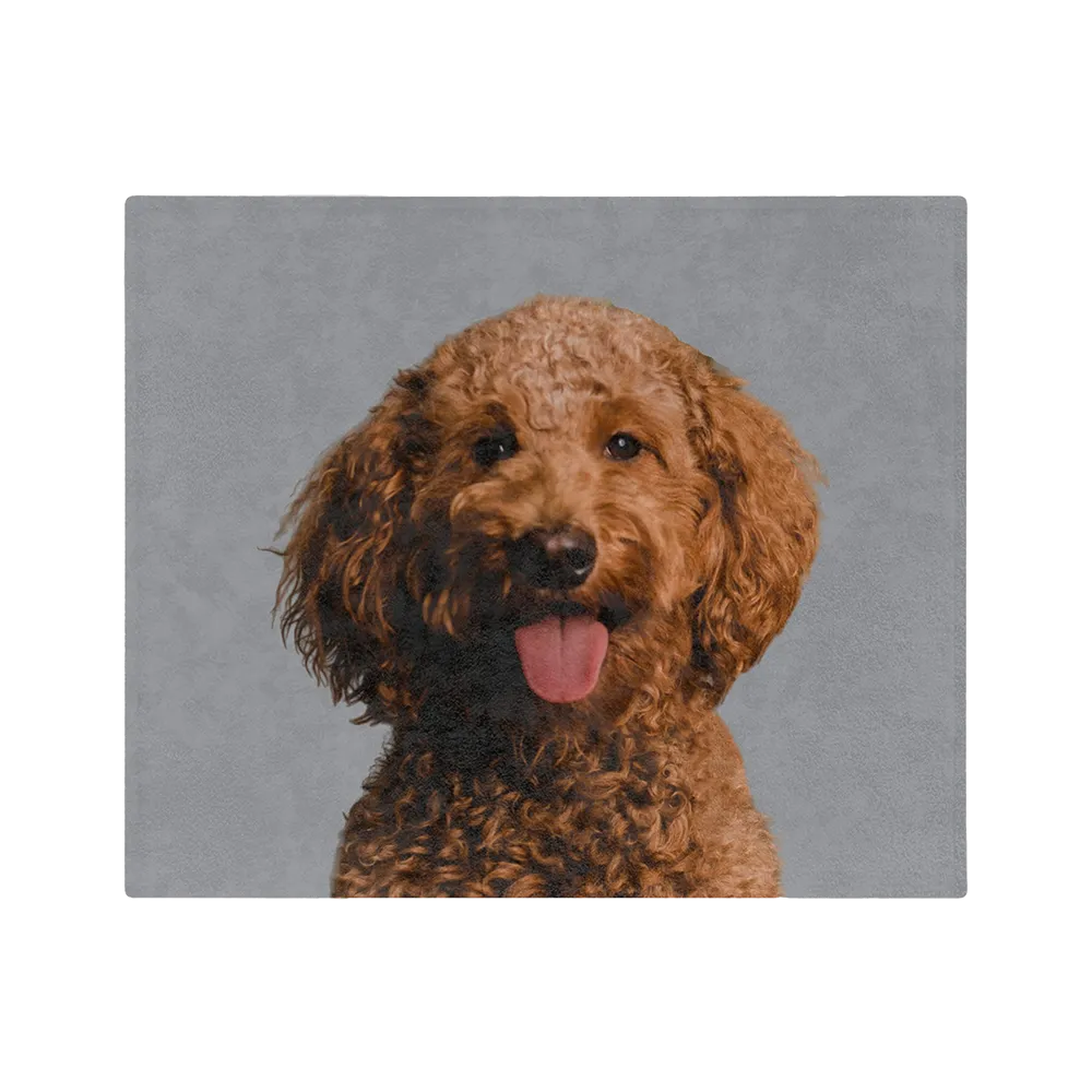 Customized Pet Art Blanket Hand Illustration 2 Pets