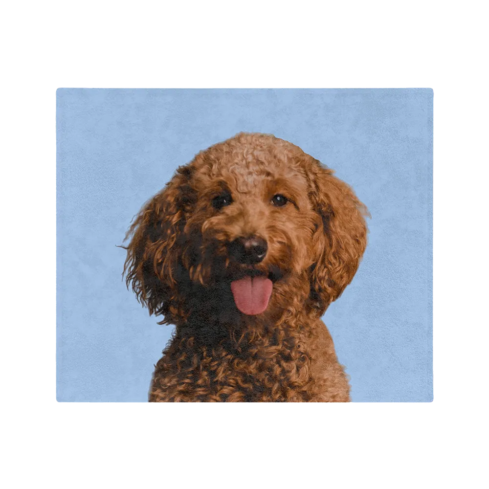 Customized Pet Art Blanket Hand Illustration 2 Pets