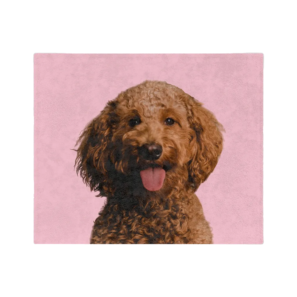 Customized Pet Art Blanket Hand Illustration 2 Pets