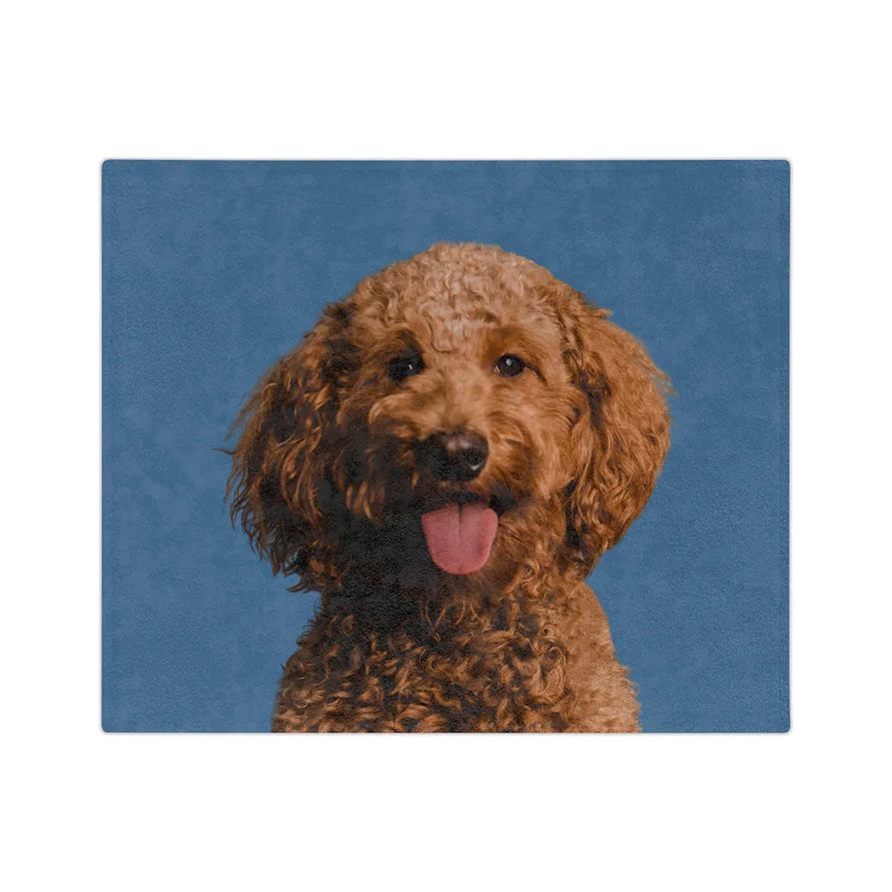 Customized Pet Art Blanket Hand Illustration 2 Pets