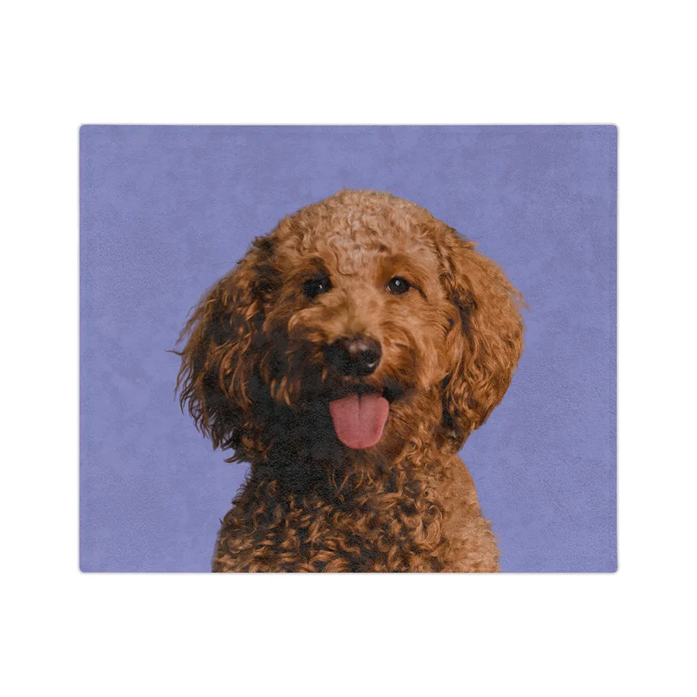 Customized Pet Art Blanket Hand Illustration 2 Pets