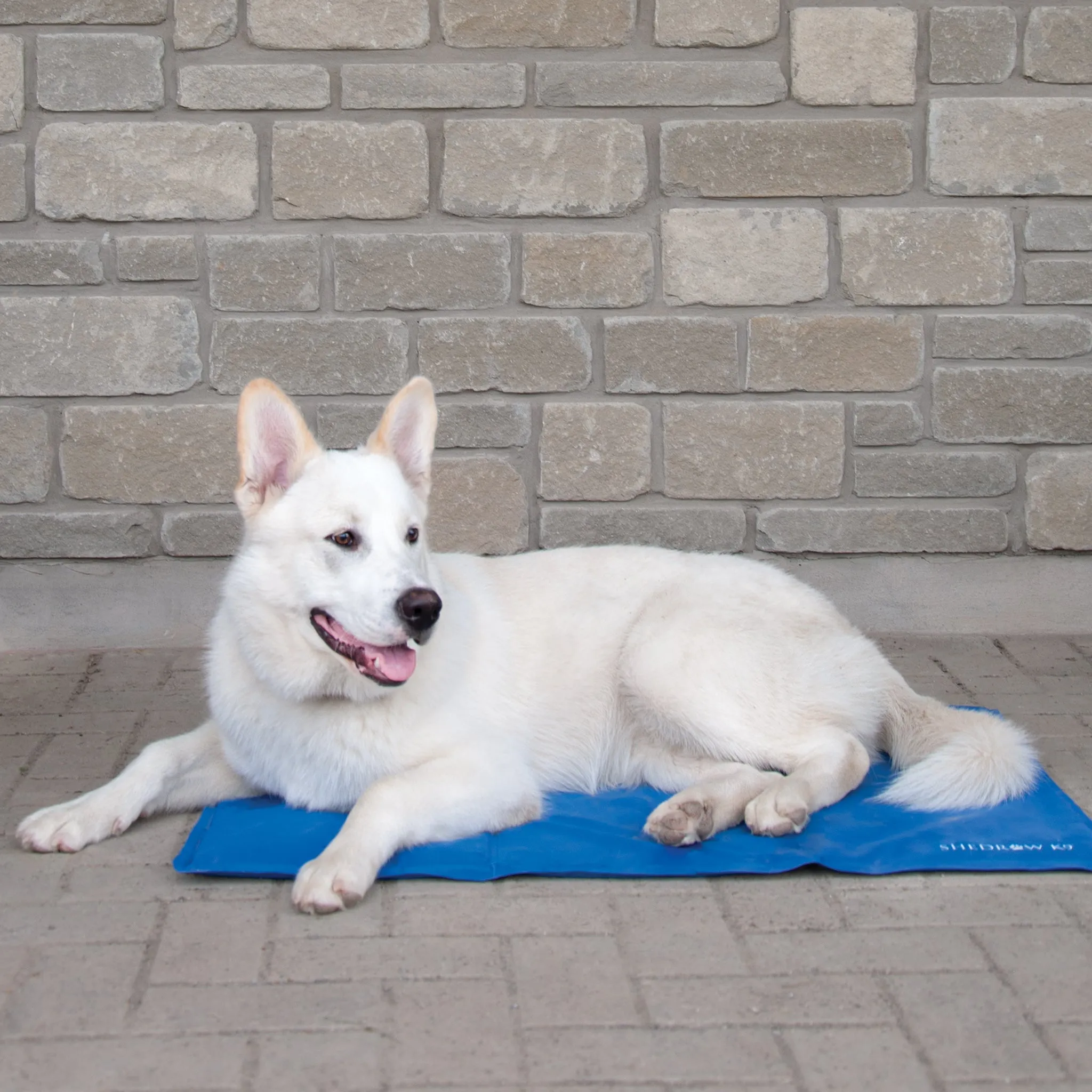 Dog Cooling Mat
