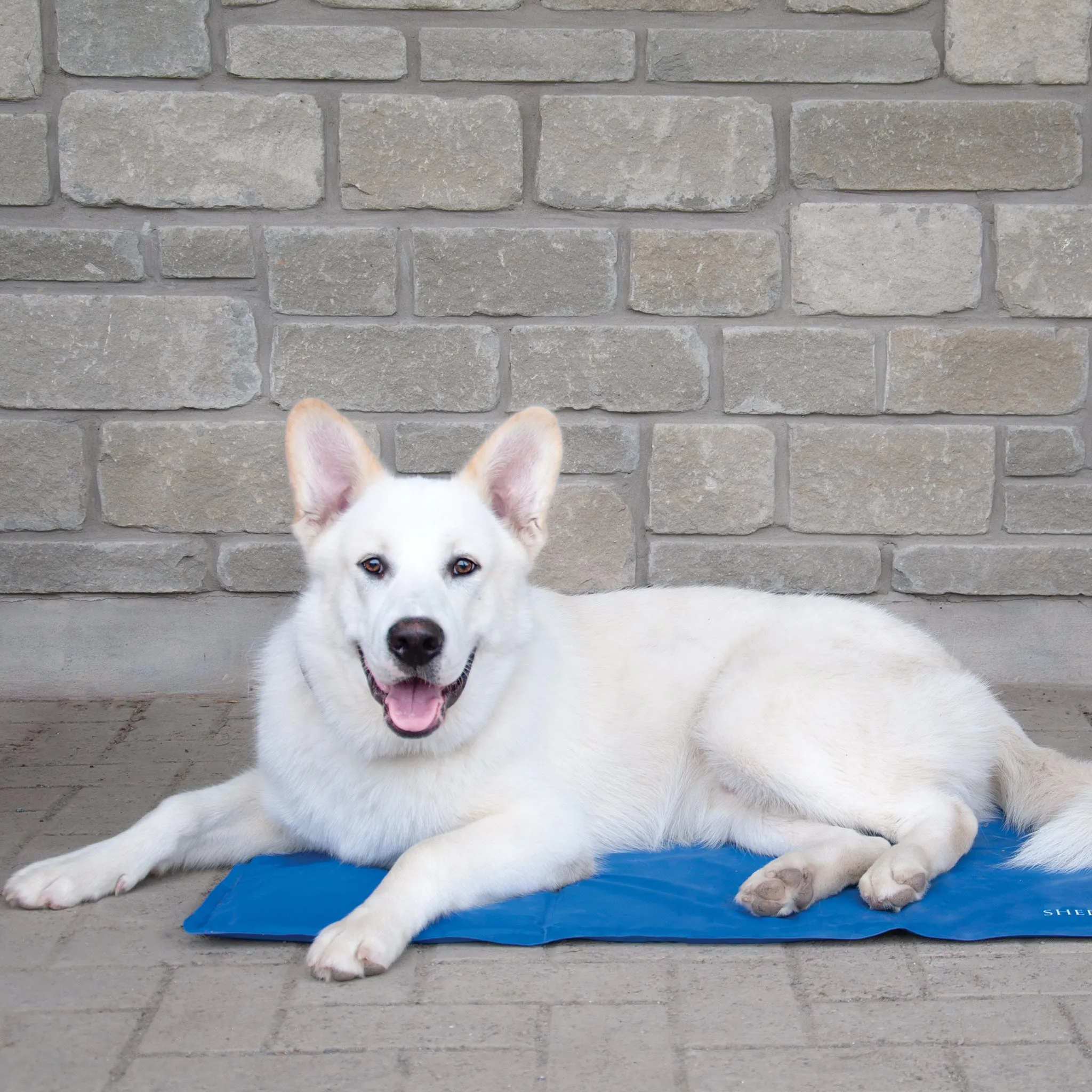 Dog Cooling Mat
