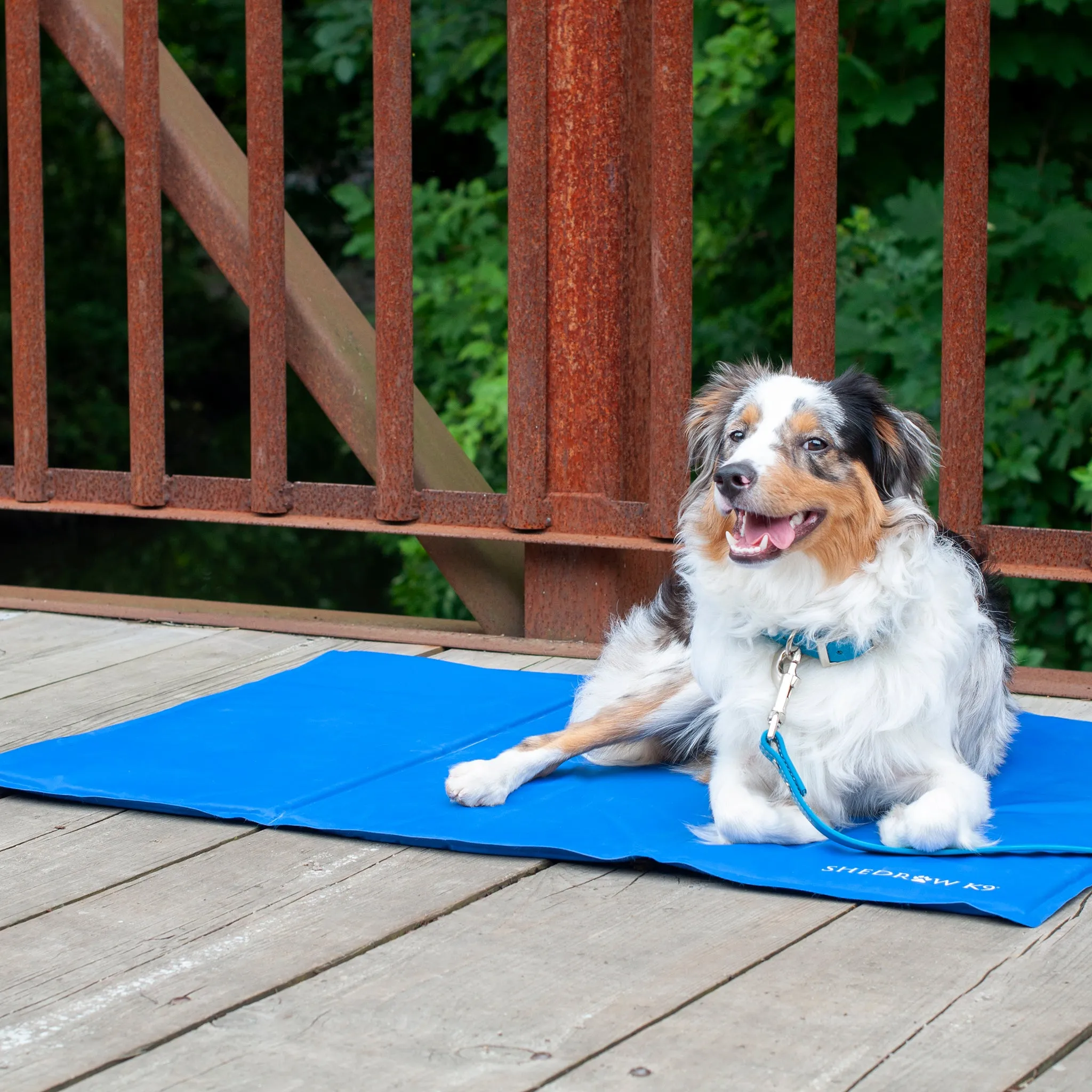 Dog Cooling Mat