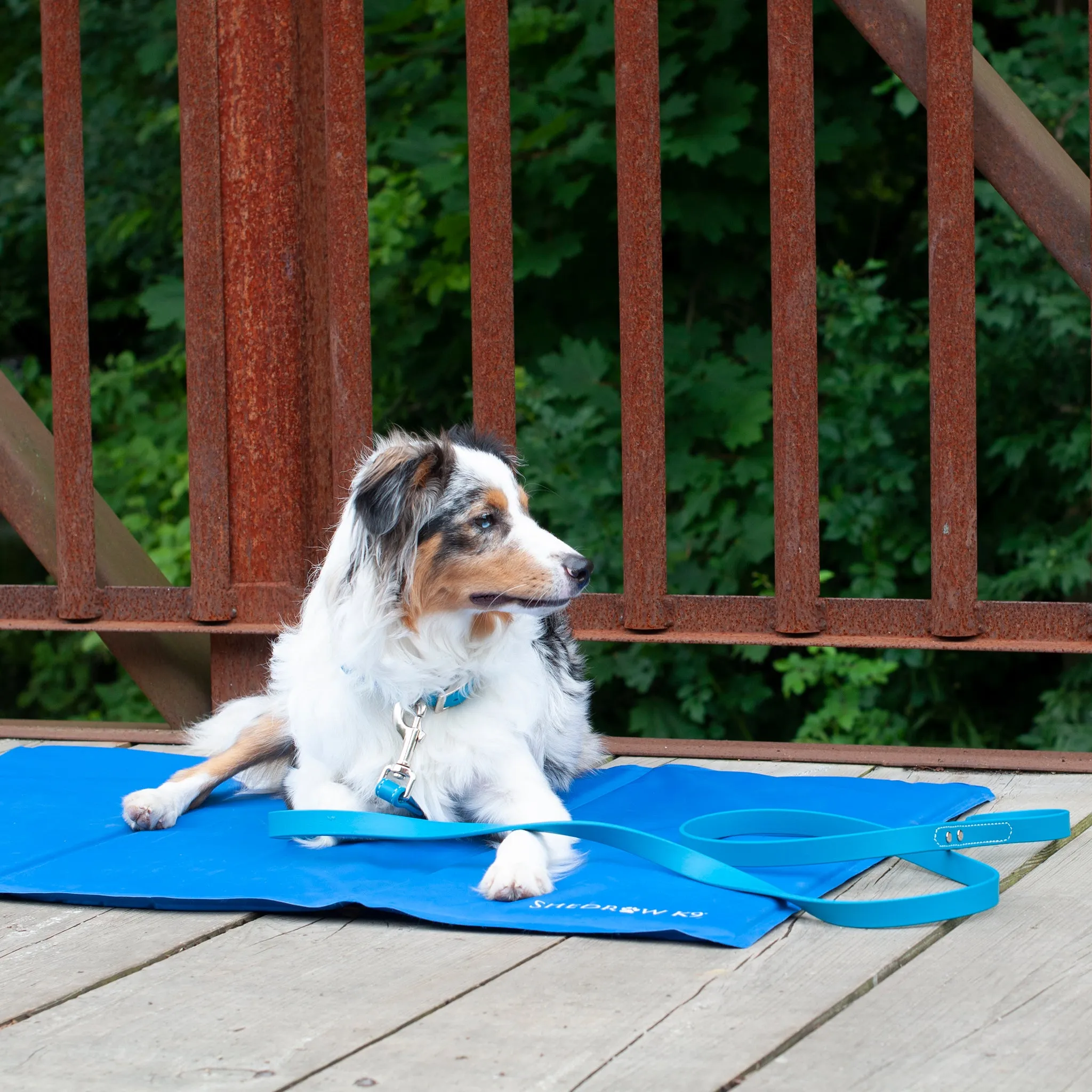 Dog Cooling Mat