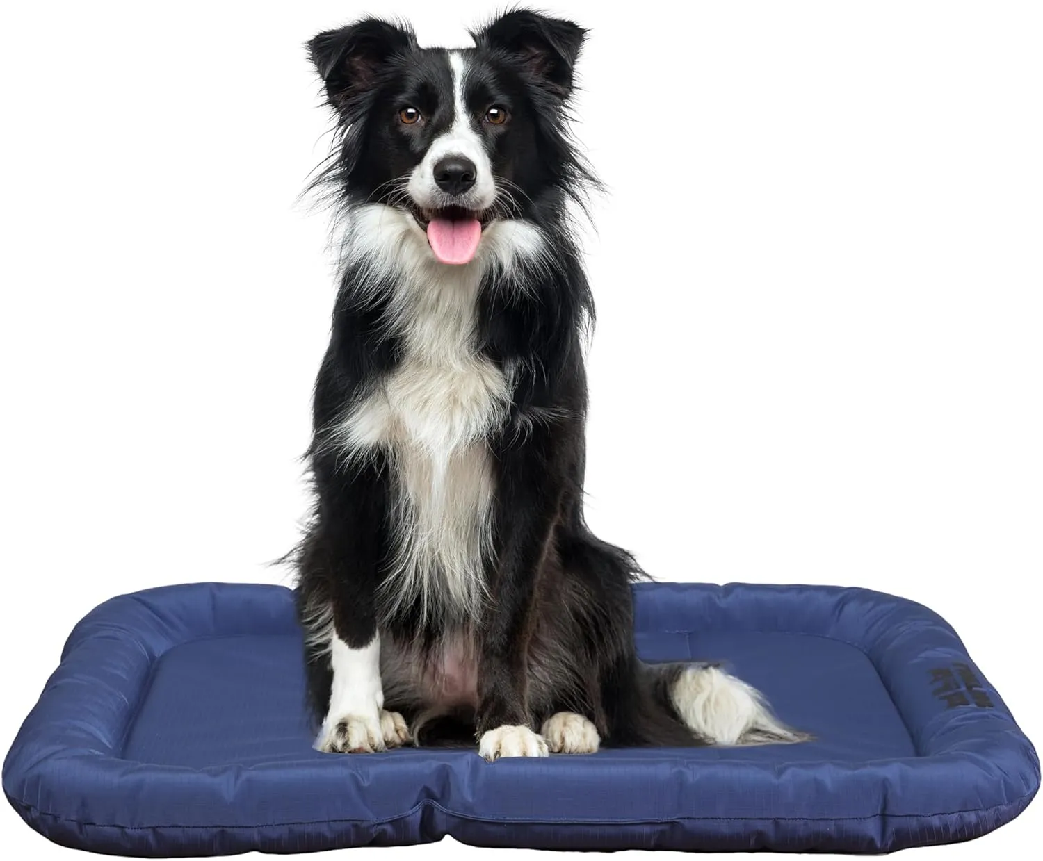 Durable Outdoor Dog Bed Chew Proof Fully Waterproof Indoor Crate Mat with Pillow Around Curling Sleep Stable Kennel Pad, for Pets (Blue, M (30 * 21in))