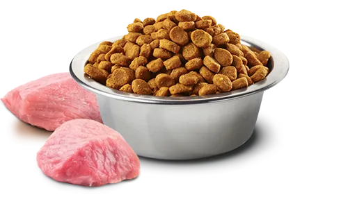 Farmina N&D Prime Formula Lamb & Blueberry Adult Cat Food
