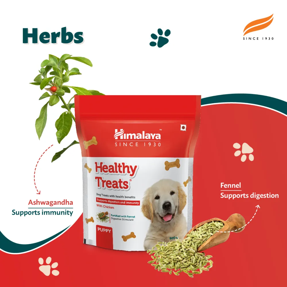 Himalaya Chicken & Rice Healthy Pet Dry Food and Chicken Healthy Treats Puppy Combo
