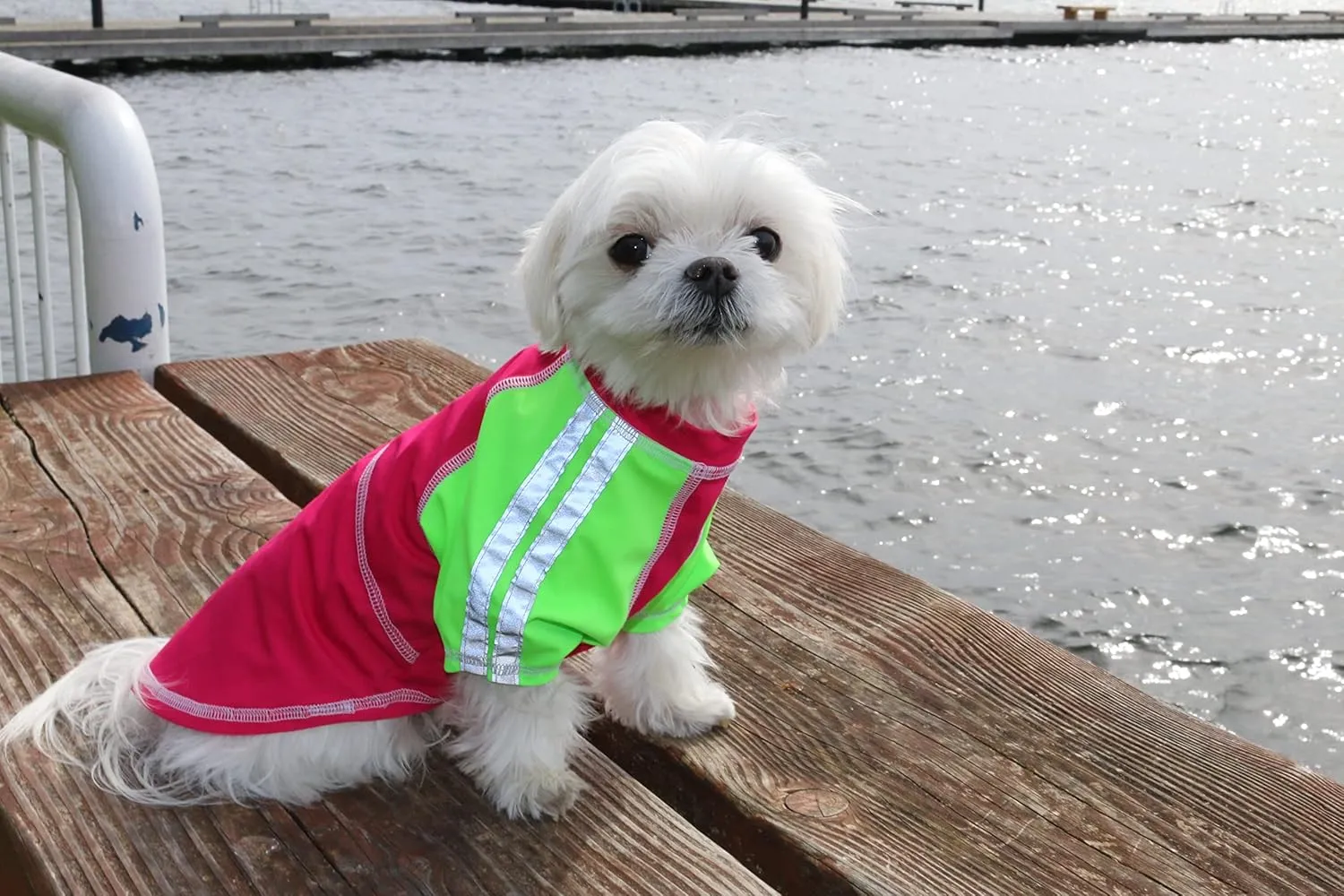 Louie de Coton Cooling Sun Shirt with UPF50  Sun Protection | Dog Clothes for Small Dogs | Dog Cooling Vest, Dog Shirts for Small Dogs with Sun Protection Made in USA Edition