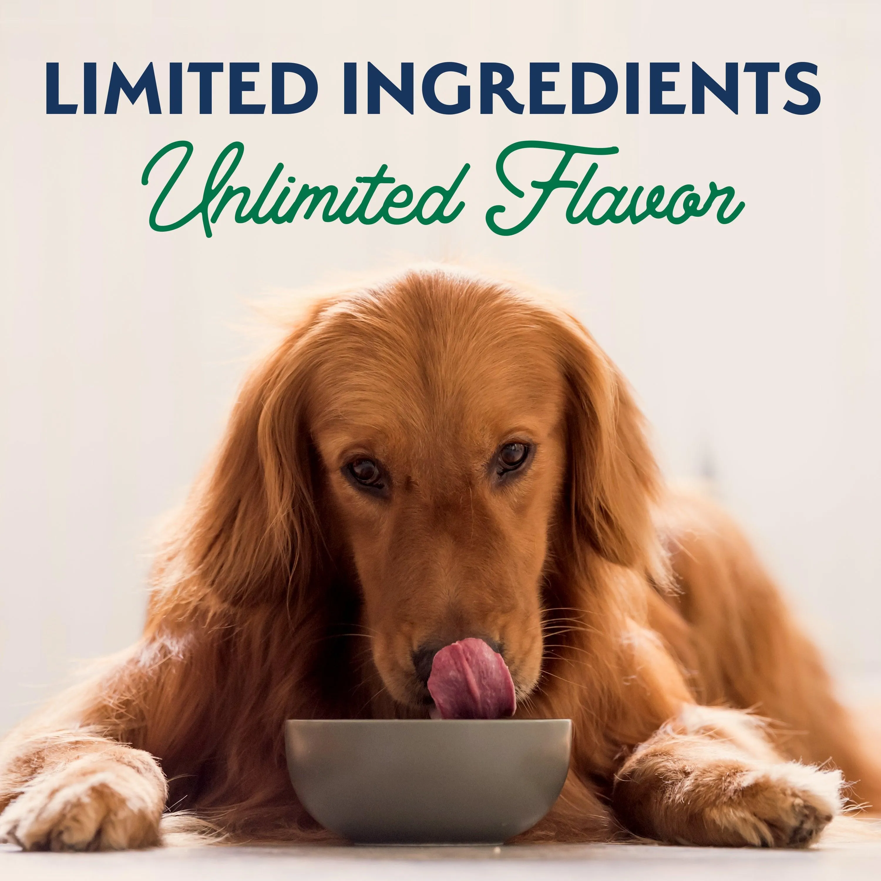 Natural Balance Canned Dog Food Lamb & Brown Rice