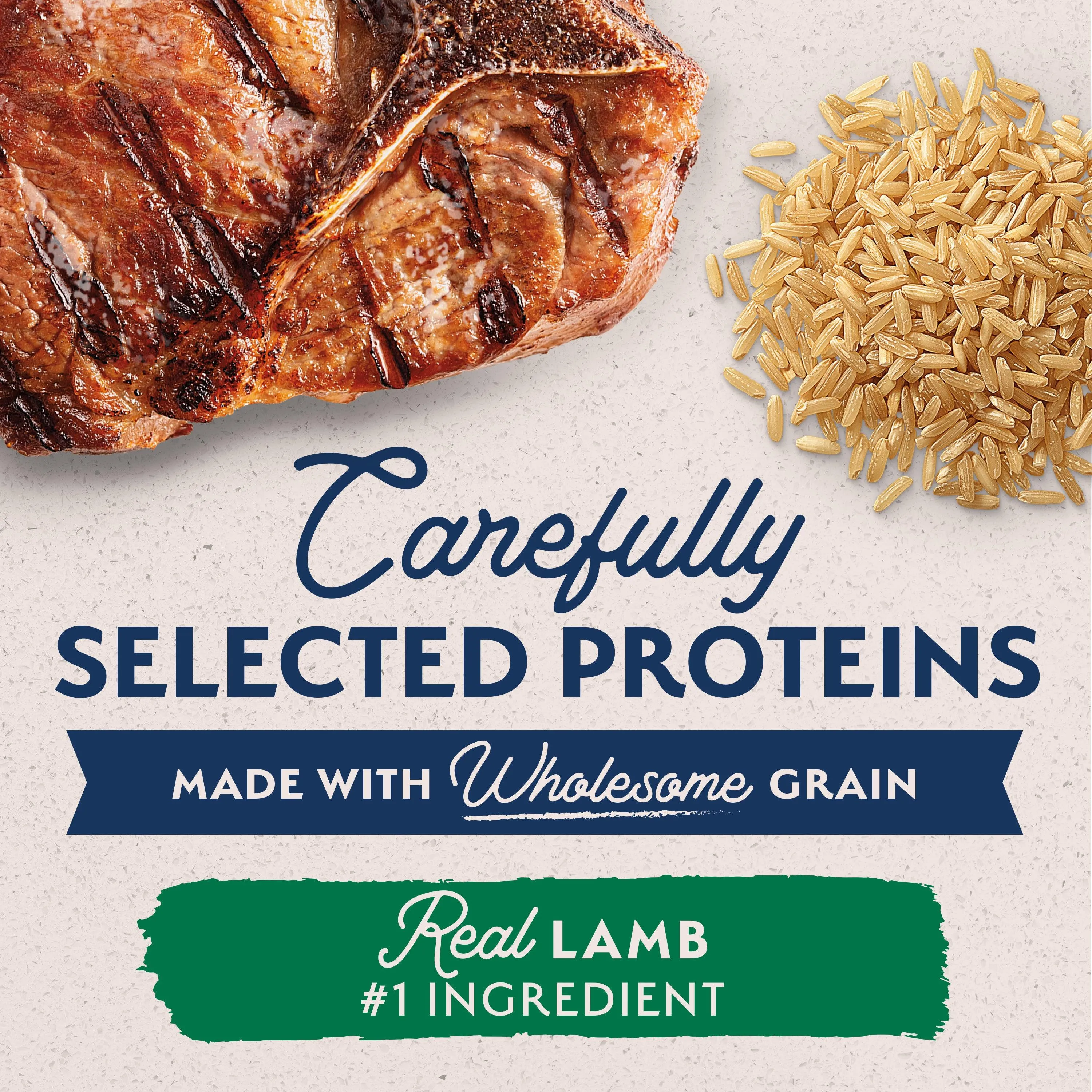 Natural Balance Canned Dog Food Lamb & Brown Rice