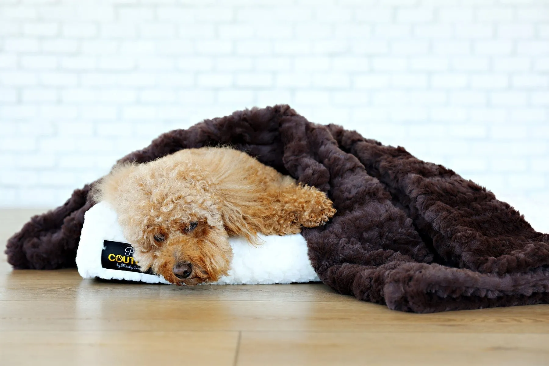 Pet Blanket JulesRoche Luxurious Soft Plush