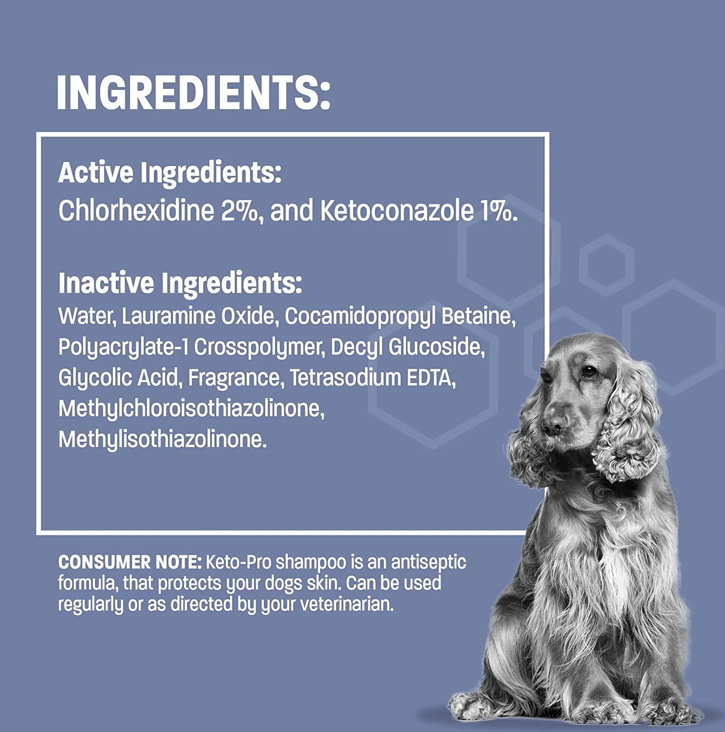Pet Health Pros Keto-Pro Skin Healing Shampoo for Dogs and Cats; For Hot Spots, Mange, Skin Infection. Size: Available in 8oz, 12oz, 16oz; Scent: Cucumber Melon