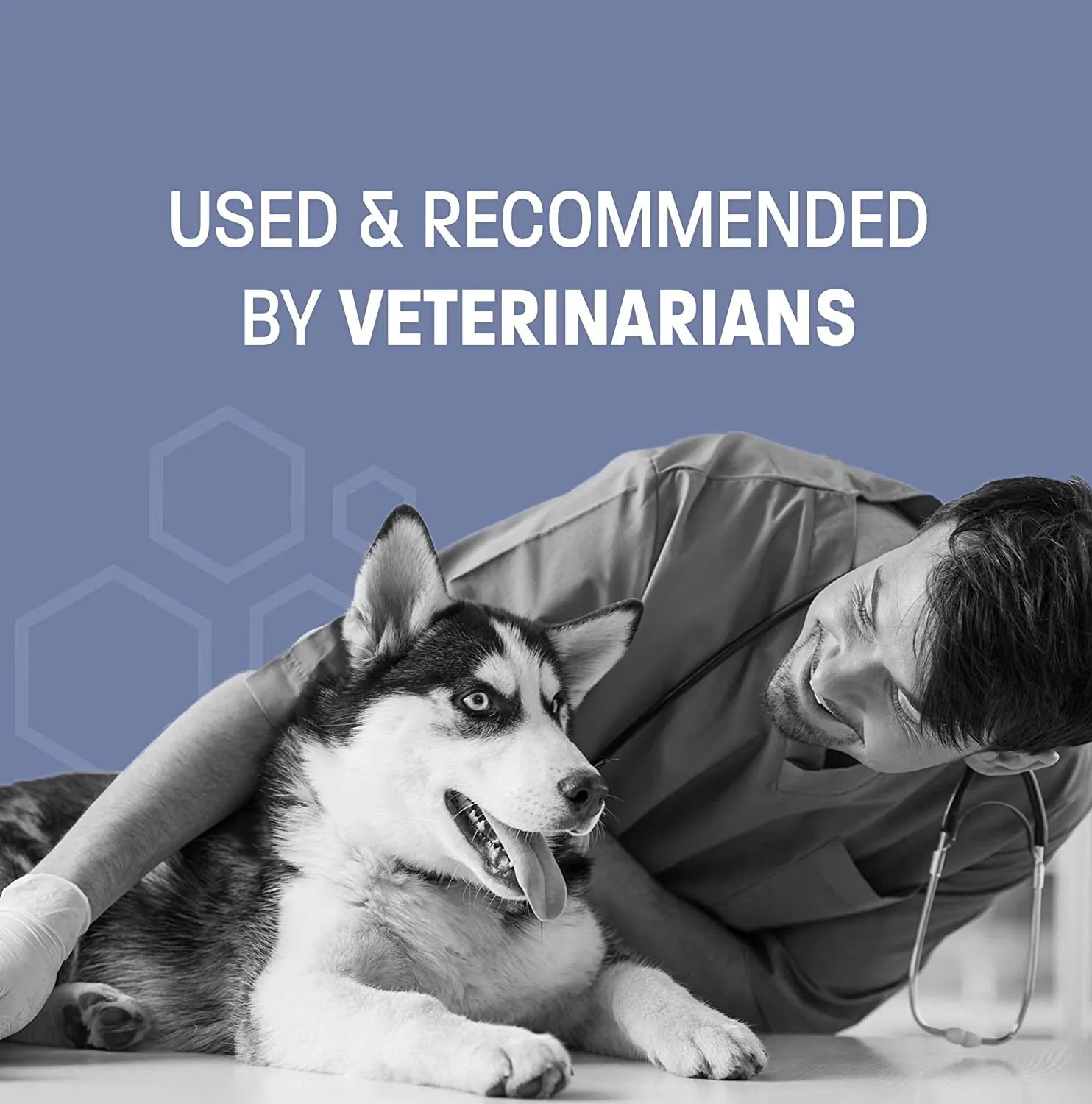 Pet Health Pros Keto-Pro Skin Healing Shampoo for Dogs and Cats; For Hot Spots, Mange, Skin Infection. Size: Available in 8oz, 12oz, 16oz; Scent: Cucumber Melon