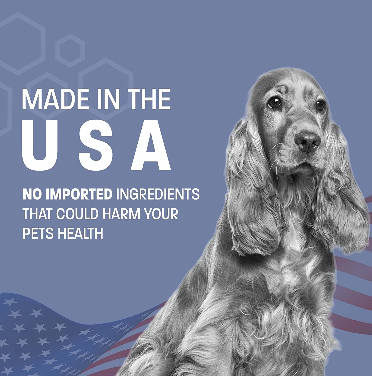 Pet Health Pros Keto-Pro Skin Healing Shampoo for Dogs and Cats; For Hot Spots, Mange, Skin Infection. Size: Available in 8oz, 12oz, 16oz; Scent: Cucumber Melon