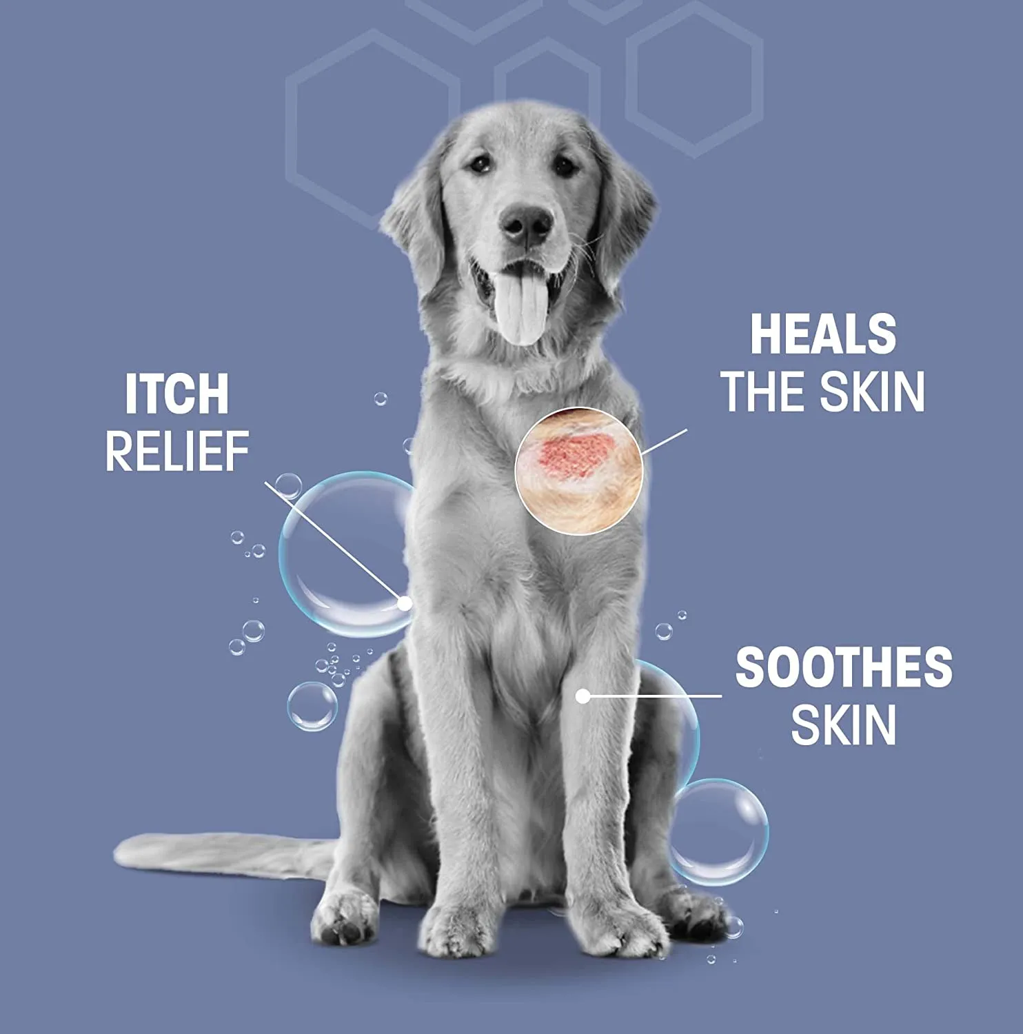 Pet Health Pros Keto-Pro Skin Healing Shampoo for Dogs and Cats; For Hot Spots, Mange, Skin Infection. Size: Available in 8oz, 12oz, 16oz; Scent: Cucumber Melon