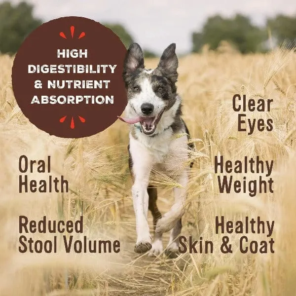 Primal Freeze Dried Lamb Nuggets for Dogs