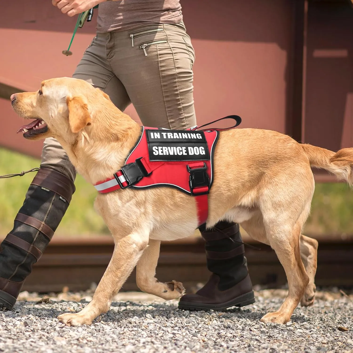 Service Dog Vest Harness and Leash Set 10 Patches,No Pull&Adjustable Reflective Dog Harness with Soft Padded Handle for Training/Everyday,Fit Small/Medium/Large/Extra-Large Dogs(Red XL)