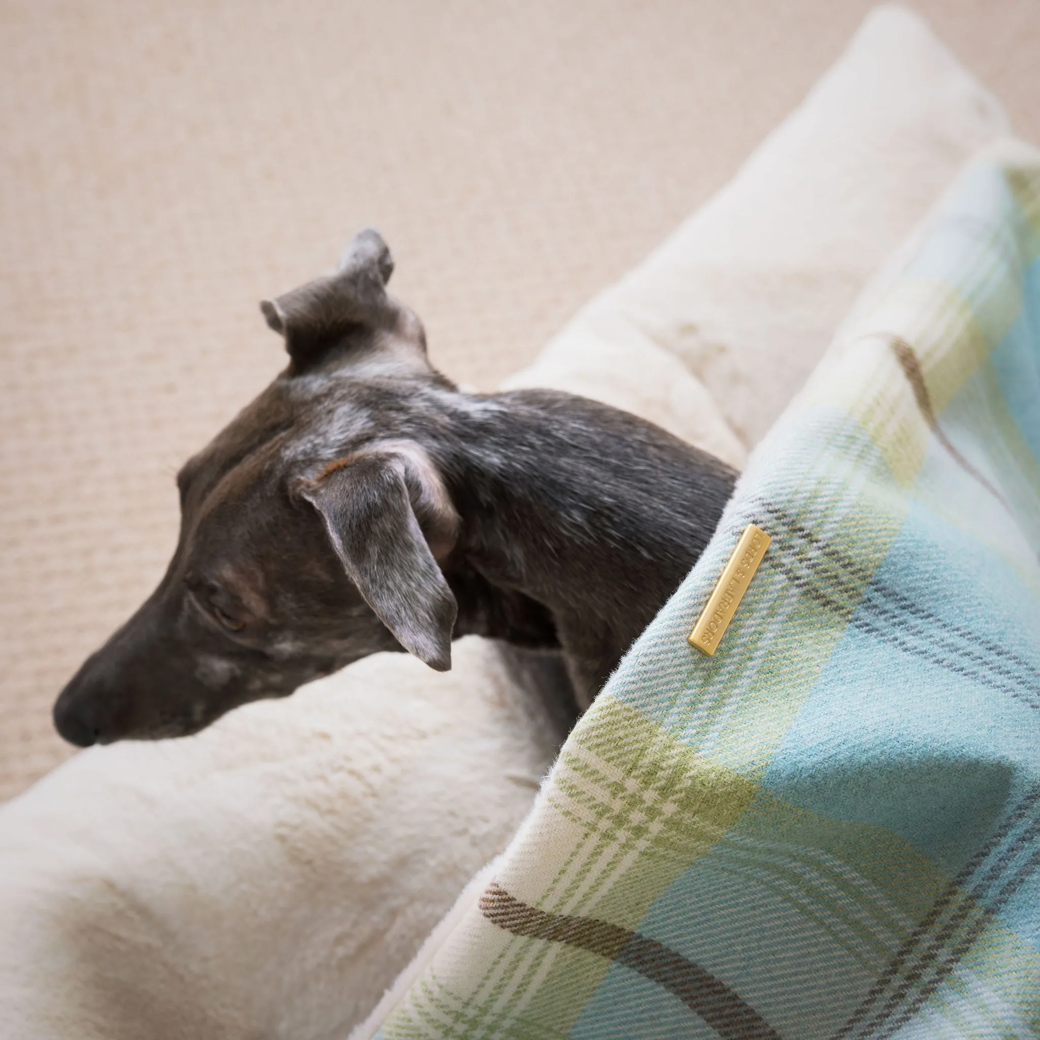 Sleepy Burrows Bed in Balmoral Duck Egg Tweed by Lords & Labradors
