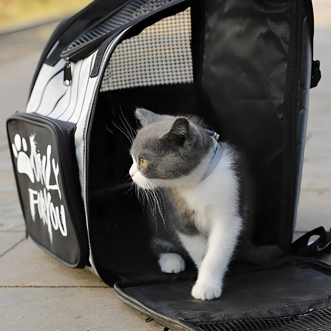 SOGA 2X Black Pet Carrier Backpack Breathable Mesh Portable Safety Travel Essentials Outdoor Bag