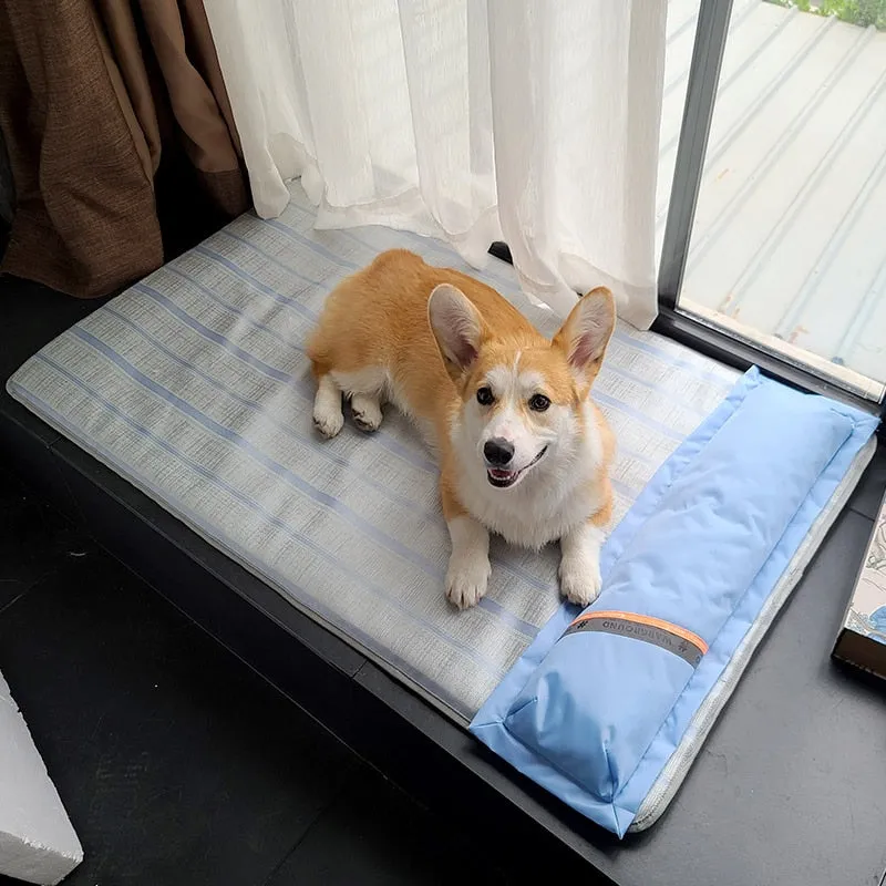 Summer Cool Bed for Dogs: Thick Mat with Pillow | Pet Sofa for Small, Medium, Large Dogs and Cats | Cooling Dog Pad | Pet Supplies