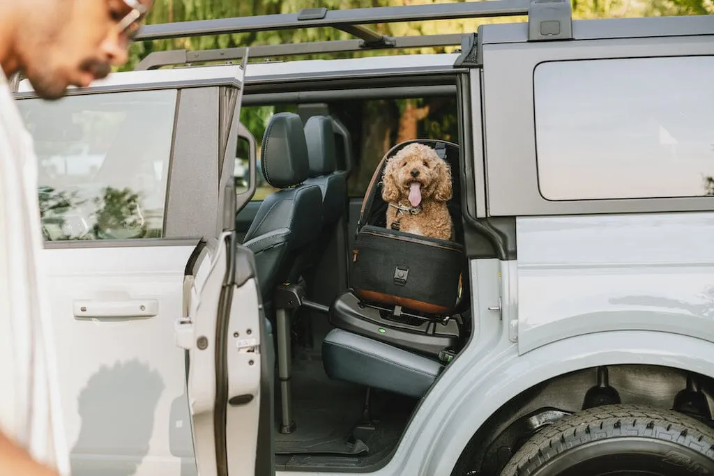 Tavo Pets Maeve Pet Car Seat- MEDIUM Rigid