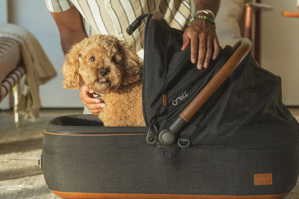 Tavo Pets Maeve Pet Car Seat- MEDIUM Rigid