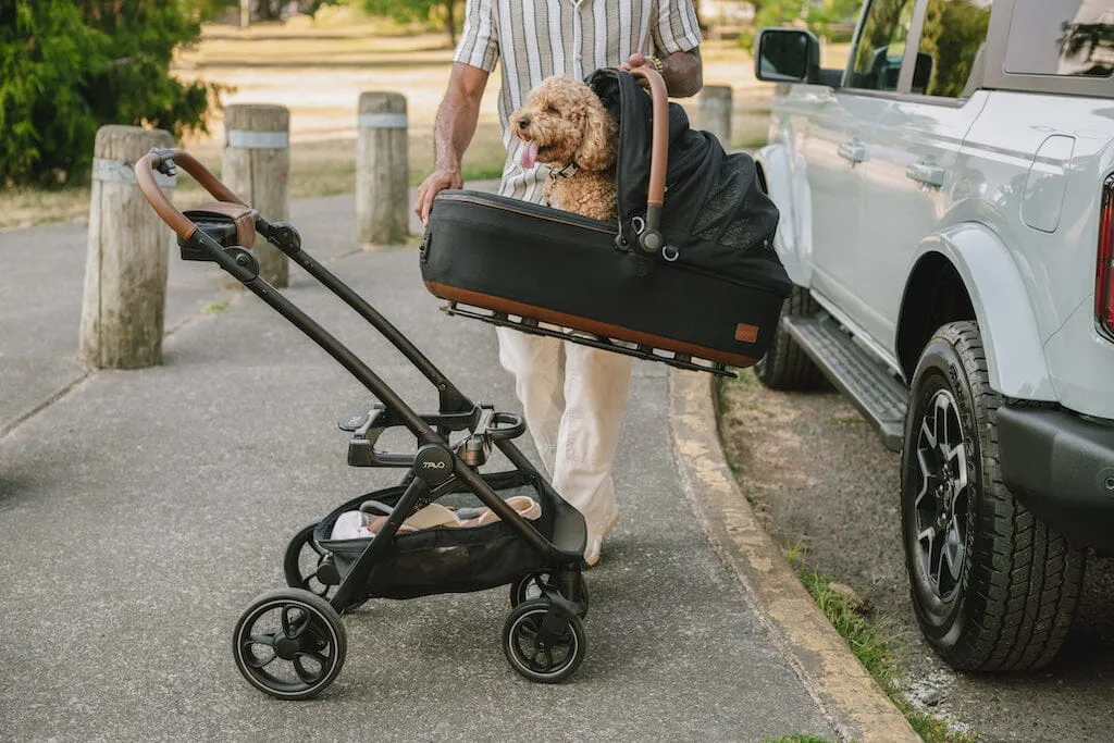Tavo Pets Maeve Pet Car Seat- MEDIUM Rigid