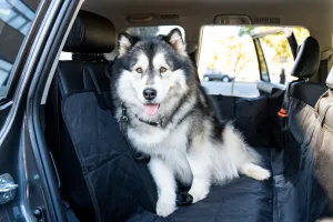 Waterproof Pet Car Seat Cover With Mesh Window   Free Buckle Leash