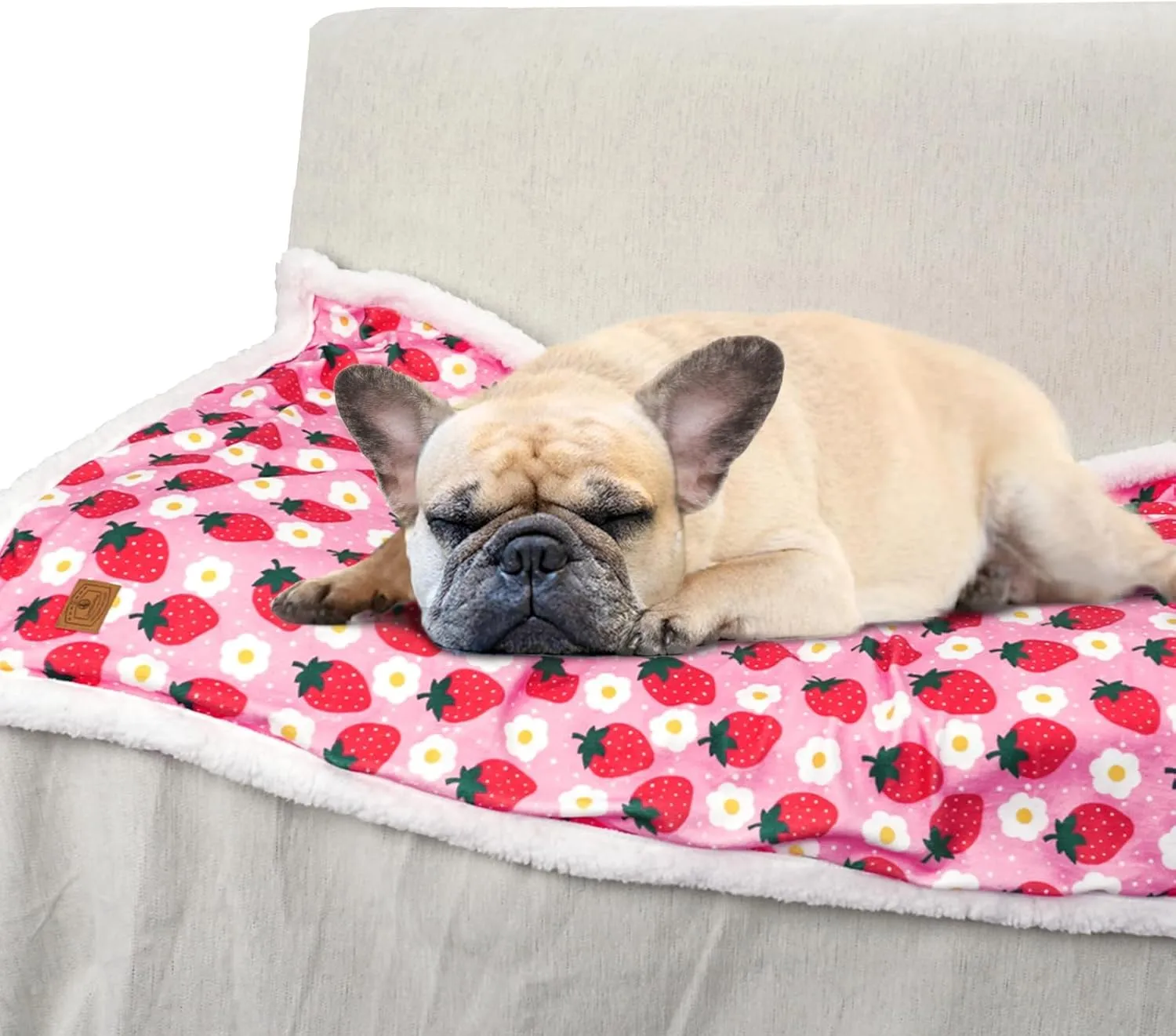 XPUDAC Waterproof Dog Blankets for Small Large Dogs, Pet Couch Cover Protection, Washable Soft Sherpa Fleece Leakproof Bed Blanket for Furniture Protector, Pink-S