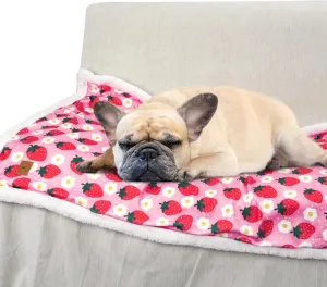 XPUDAC Waterproof Dog Blankets for Small Large Dogs, Pet Couch Cover Protection, Washable Soft Sherpa Fleece Leakproof Bed Blanket for Furniture Protector, Pink-S