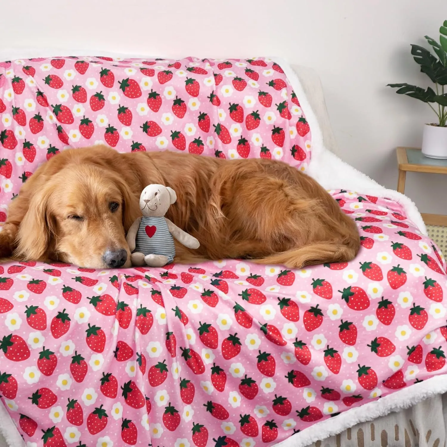 XPUDAC Waterproof Dog Blankets for Small Large Dogs, Pet Couch Cover Protection, Washable Soft Sherpa Fleece Leakproof Bed Blanket for Furniture Protector, Pink-S